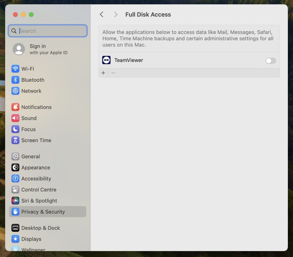 TeamViewer-Settings-Disk Access